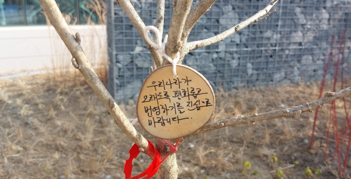 무궁화에 소원패를 달았다.