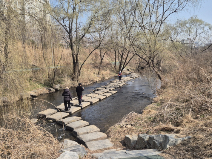 광교호수공원 원천교 방향, 징검다리에서 시작되는 원천호수 산책 코스의 출발 지점