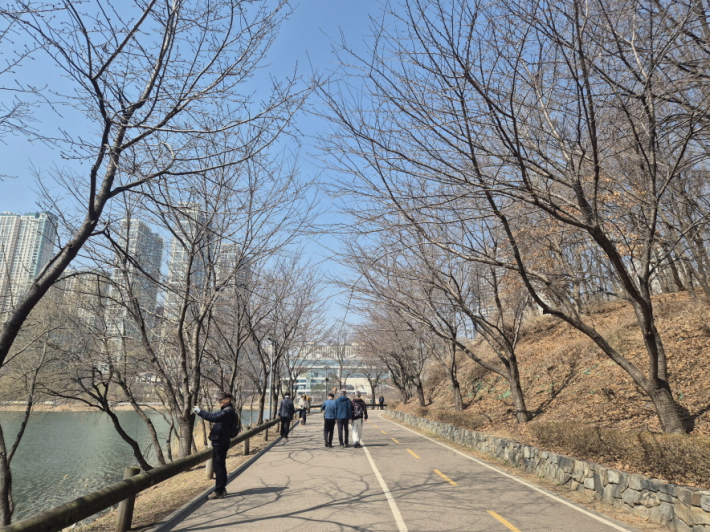 따뜻한 햇살 아래 공원을 걸으며 먼저 찾아온 봄을 즐기는 시민들의 모습