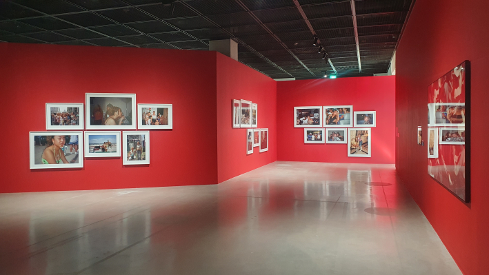 강렬한 붉은색 벽면에 빼곡하게 설치된 니키 리 사진 연작 〈The Hispanic Project〉, 〈The Punk Project〉 등 전시 모습