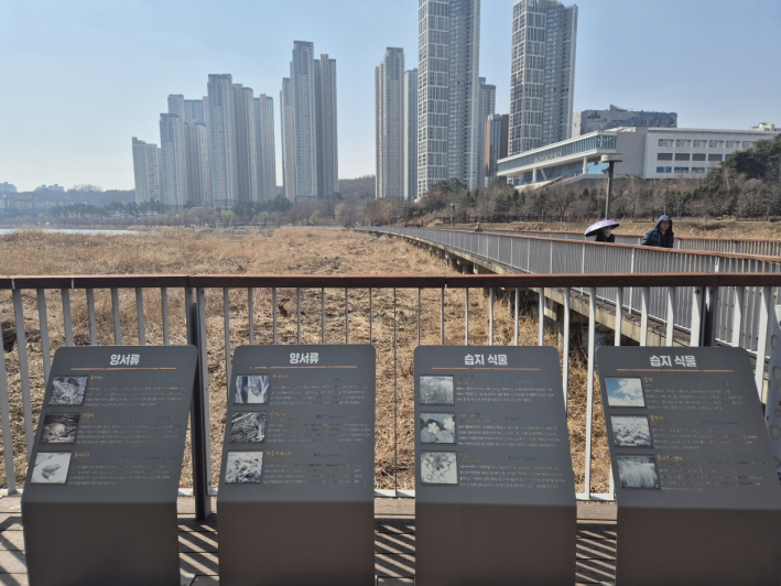 생태하천을 따라 경기도청과 도서관, 문화시설로 이어지는 산책 동선 속에서 도시와 물길이 함께 연결된다.