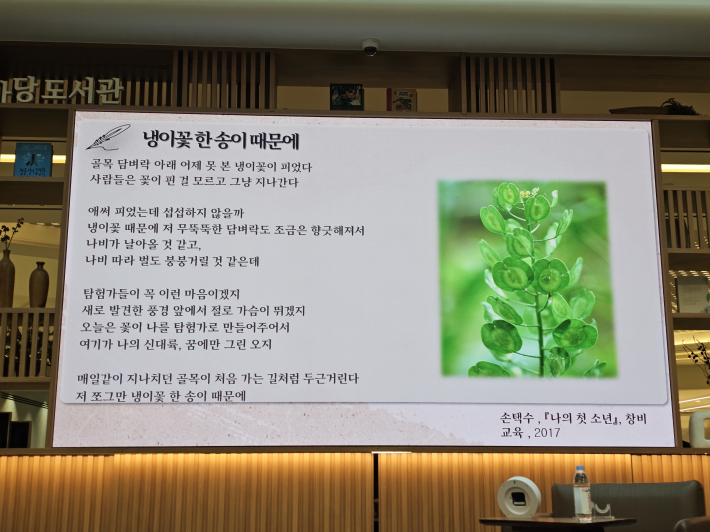 냉이꽃의 하트모양의 경이로운 아름다움 