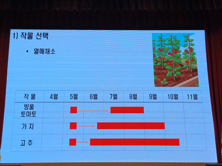 열매채소 작물 선택