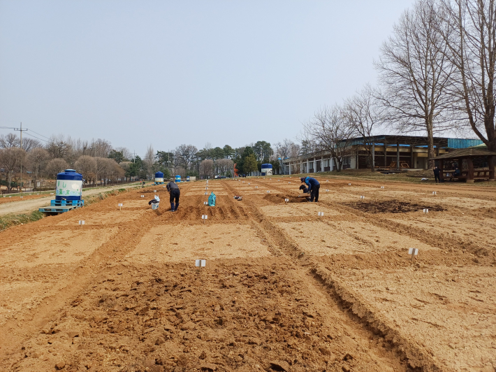 푸른지대와 정자가 보이는 텃밭(1구역)