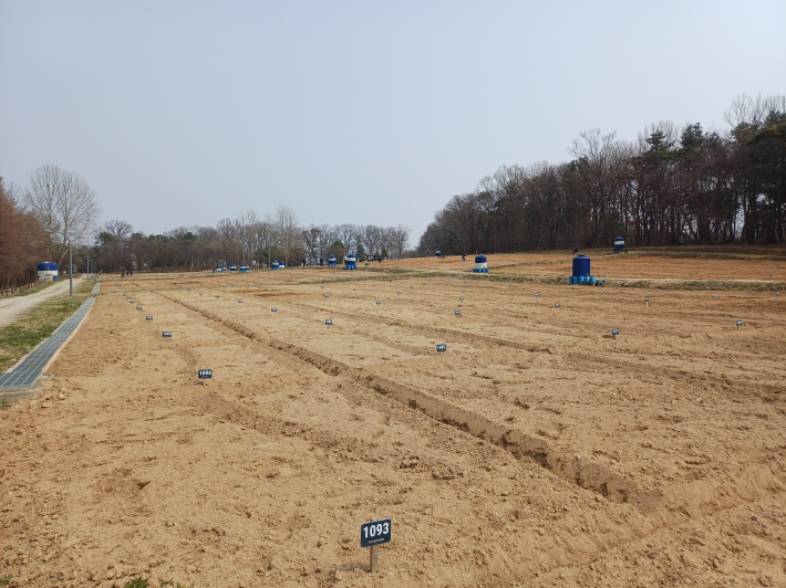 공원과 둘레길이 보이는 텃밭(3구역)