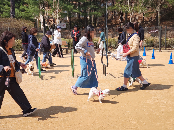 보호자들이 리드줄을 활용해 반려견 산책 실습 교육을 진행하며 올바른 산책 방법을 배우고 있다.