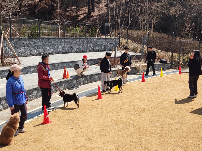 중소형견과 대형견을 나누어 반려견 특성에 맞춘 산책 예절 교육이 이루어지고 있다.