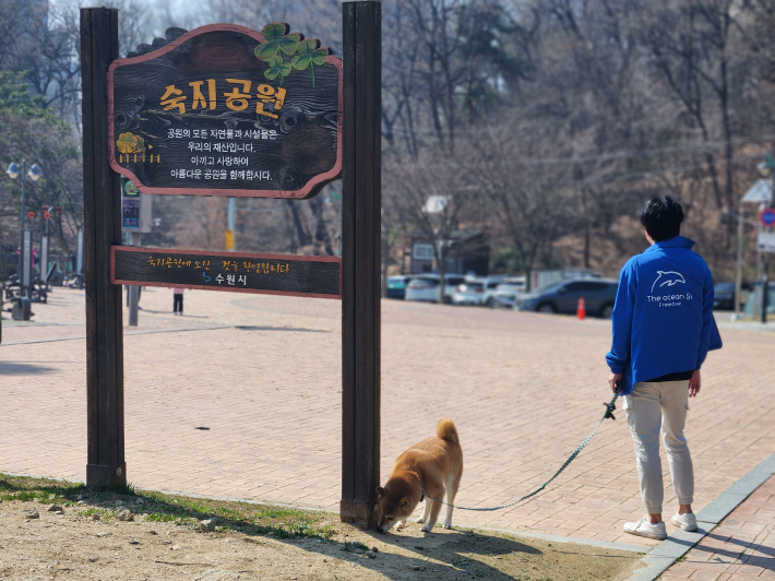 반려견과 보호자가 함께 산책하며 교육 내용을 실습하는 모습
