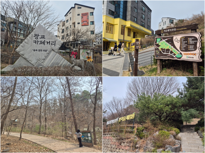 광교카페거리에서 시작해 이동하면 숲놀이터와 유아숲체험원 방향으로 이어지는 산책 동선을 만날 수 있다.