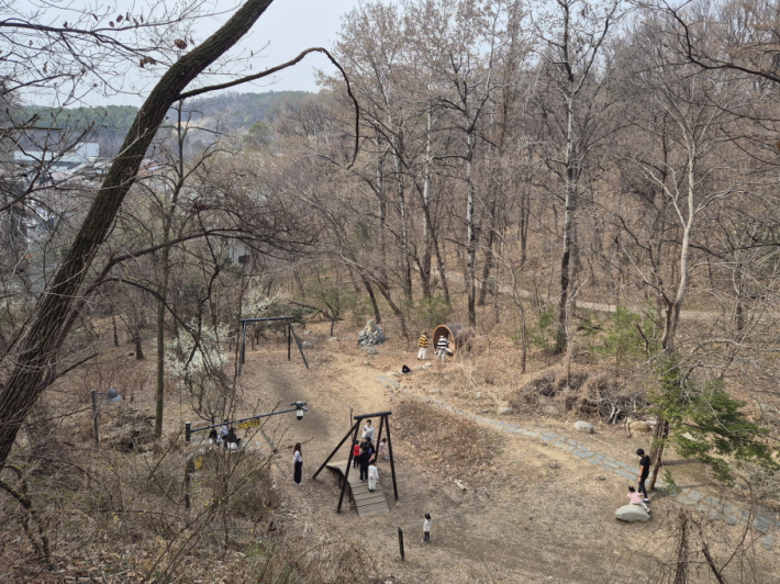 위쪽에서 내려다보면 숲 지형을 따라 배치된 놀이 공간의 전체 구성이 한눈에 들어온다.