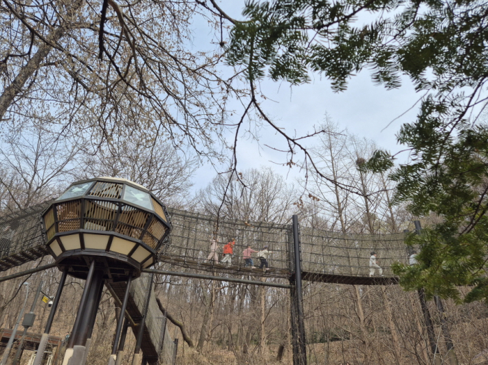 숲을 가로지르는 공중 연결 통로는 '동화숲으로의 초대'를 대표하는 상징적인 이동 구간이다.