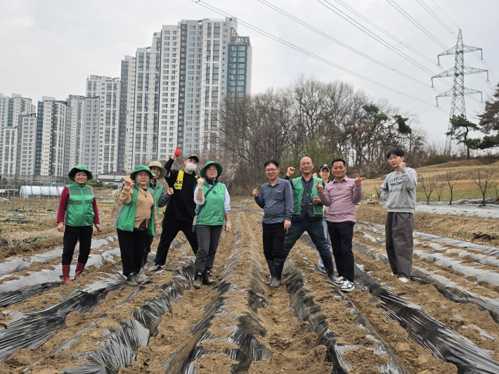 구운동 새마을3단체가 감자심기를 진행하고 있다.