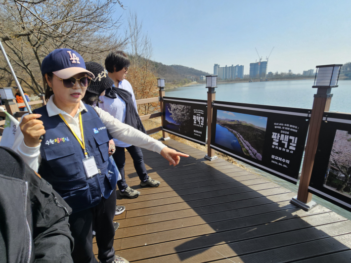 오봉숙 팔색길 해설사가  수원의 벚꽃8경을 해설하고 있다.