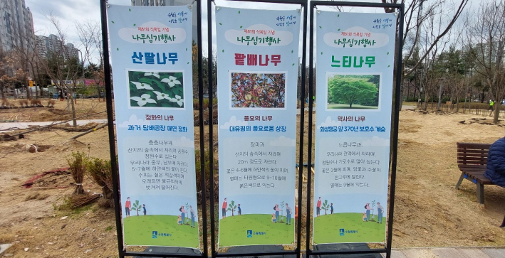 대표적인 나무 3종 소개 현수막
