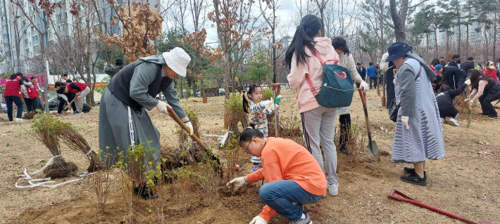 참가자들이 힘을 합쳐 나무를 심고  있다.