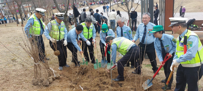 교통봉사대원이 나무를 심고 있다.