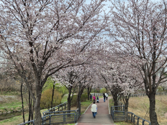 올봄, 가족과 함께 신동수변공원에서 느긋한 봄나들이를 계획해 보는 것은 어떨까.