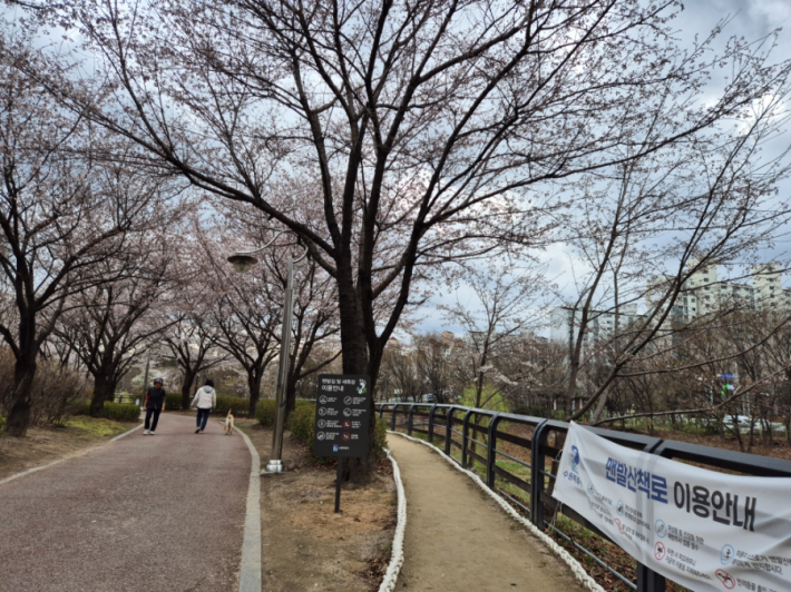 올봄, 가족과 함께 신동수변공원에서 느긋한 봄나들이를 계획해 보는 것은 어떨까.  