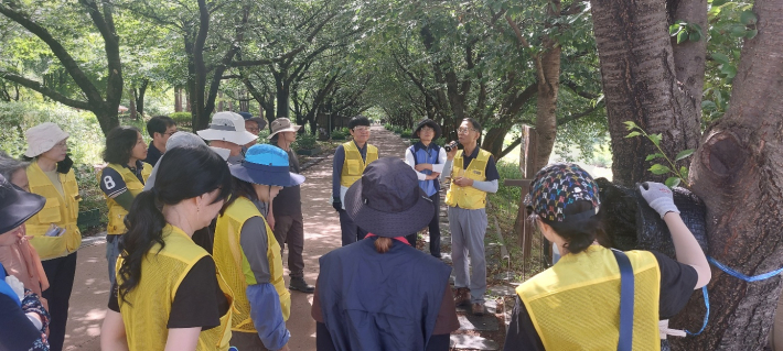 황구지천 벚나무 생육개선 행사에서 작업 내용을 설명하는 조 회장(마이크 든 사람)