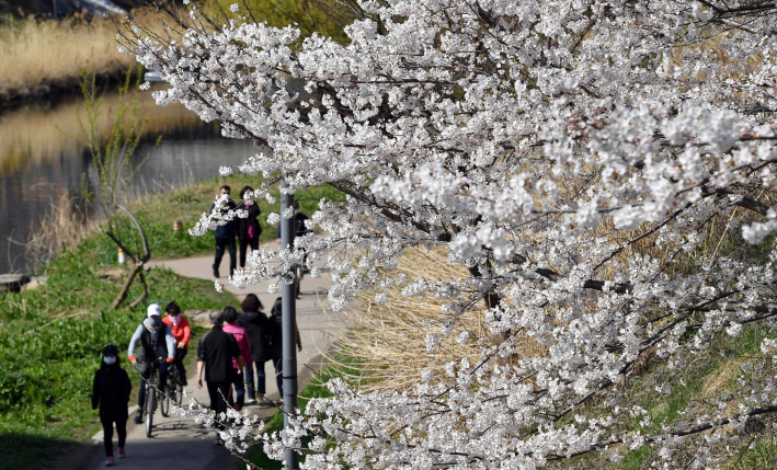 서호천길을 따라 시민들이 걷고있다(사진:포토뱅크)    