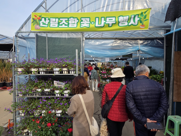 화훼농가에 힘을 불어넣고 있는 봄맞이 꽃·나무·모종 행사