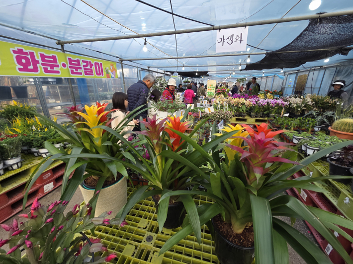 꽃의 아름다움에 푹 빠진 시민들   