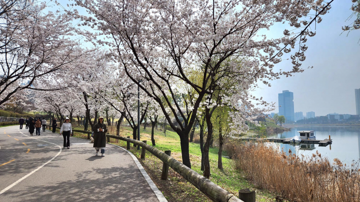 호숫가에 머무는 봄