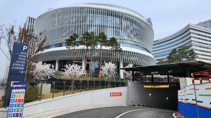 경기도서관 앞 어린 왕벚꽃