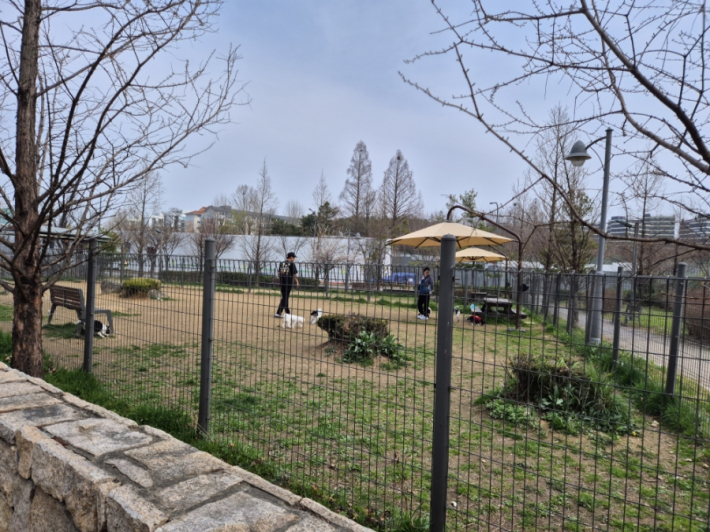 마중공원에는 반려견놀이터도 마련되어 있어 강아지들이 자유롭게 뛰어놀 수 있다. 