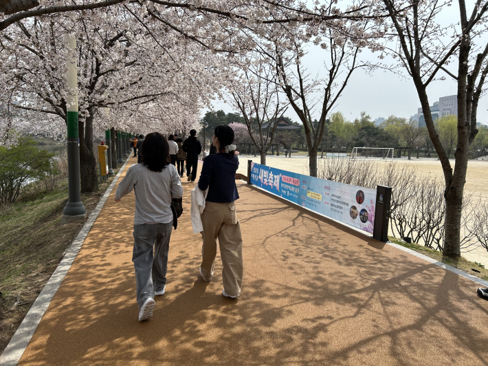 만개한 벚꽃 풍경