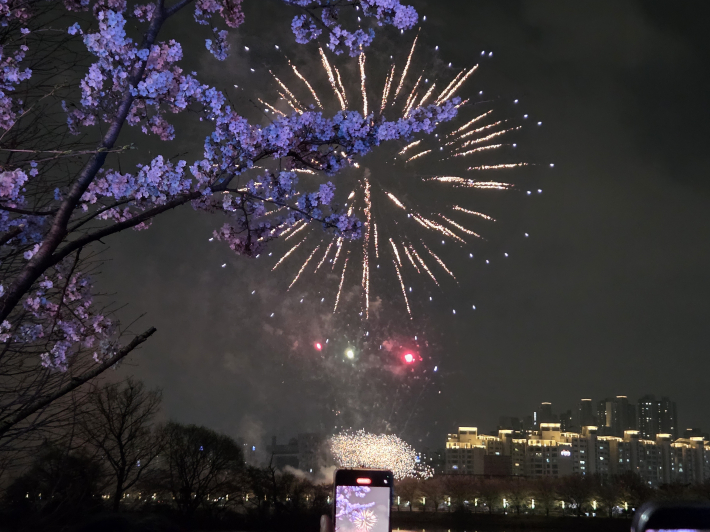 밤하늘 수놓은 '불꽃놀이'  