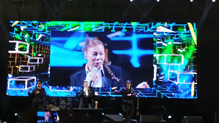  대한민국 보컬리스트 가수 인순이 공연 장면