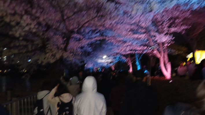 특수조명을 활용한 만석거 산책길을 걷는 시민들