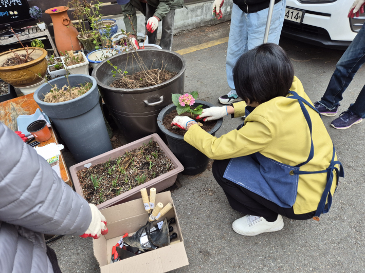 성영신 동장이 꽃을 심고 있다.