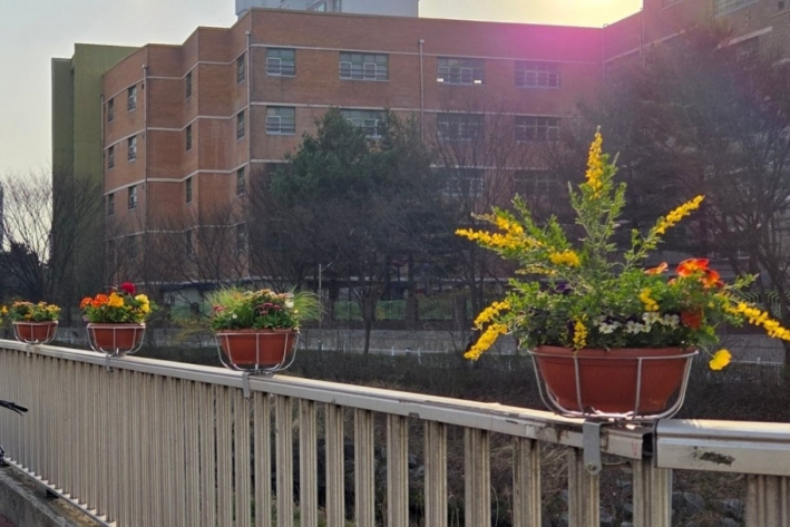 수원장안경찰서 주변 화분걸이 전경