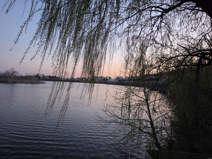 운동과 함께 할 수 있는 서호공원의 풍경