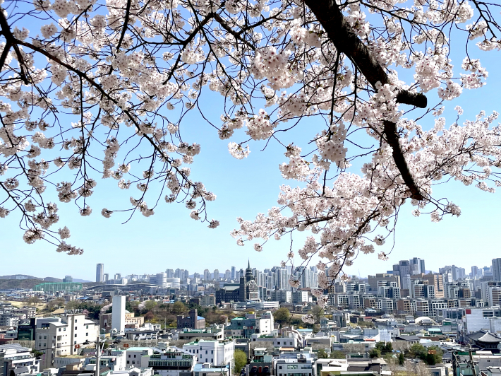 팔달산 서장대에서 내려다본 전경이다.