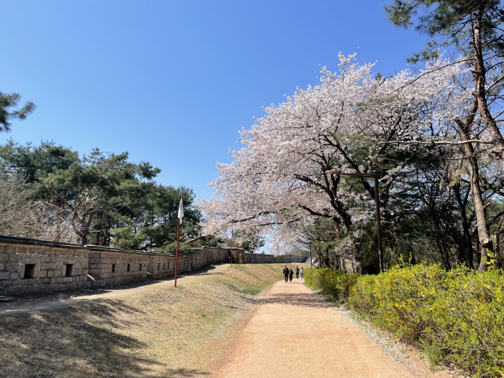 화성 성곽을 산책하는 시민들의 낮 모습이다.