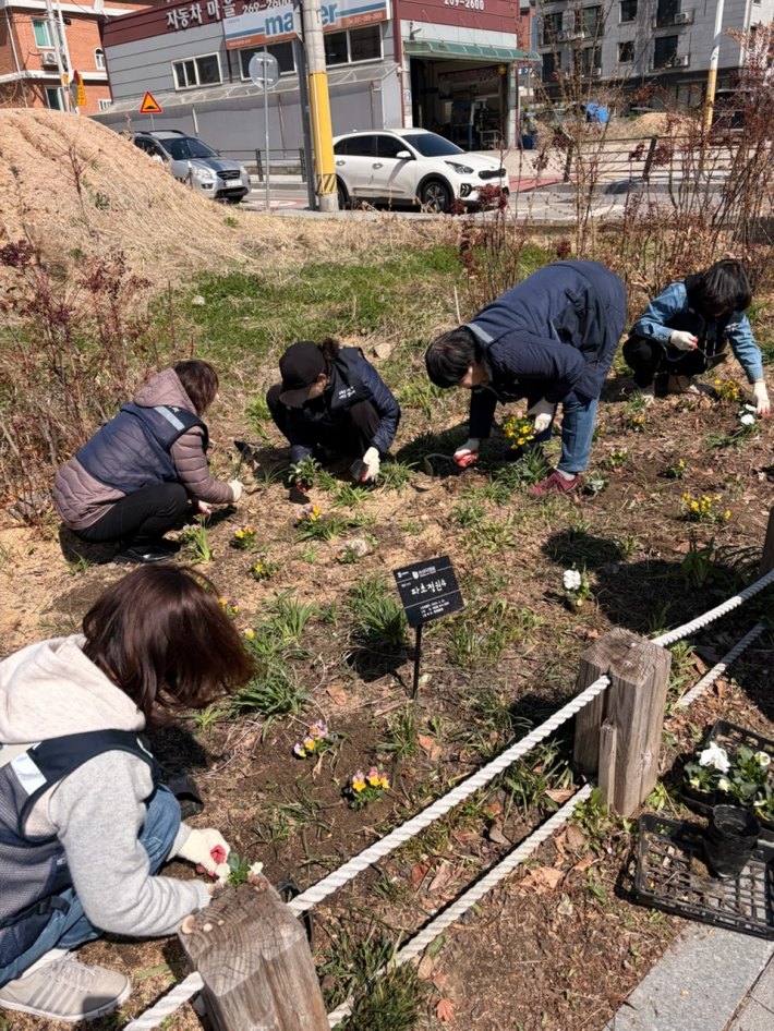 통장협의회 회원들이 파장동 손바닥정원을 조성하고 있다.