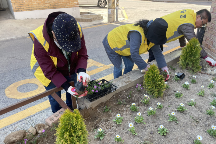 봄꽃 식재 중인 주민자치회 위원들