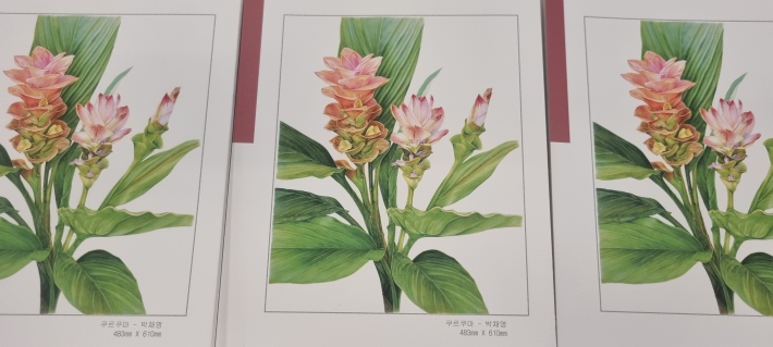 작품명: 쿠르쿠마-박채영 작가