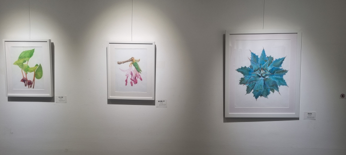 순서대로 작품명: 족도리풀-올괴불나무-용설란(이민숙작가)