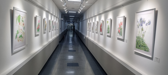 영통구청장 실 앞 로비에 전시한 수 많은 작품들