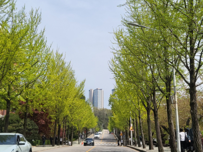 아주대 캠퍼스 가로수길의 연초록 잎들이 새롭게 출발한 신입생들의 첫걸음을 닮아, 그들의 푸르고 희망찬 앞날을 축복하는 듯했다.