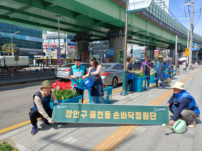 재활용한 화분으로 새로 조성한 도로가 꽃길 전경