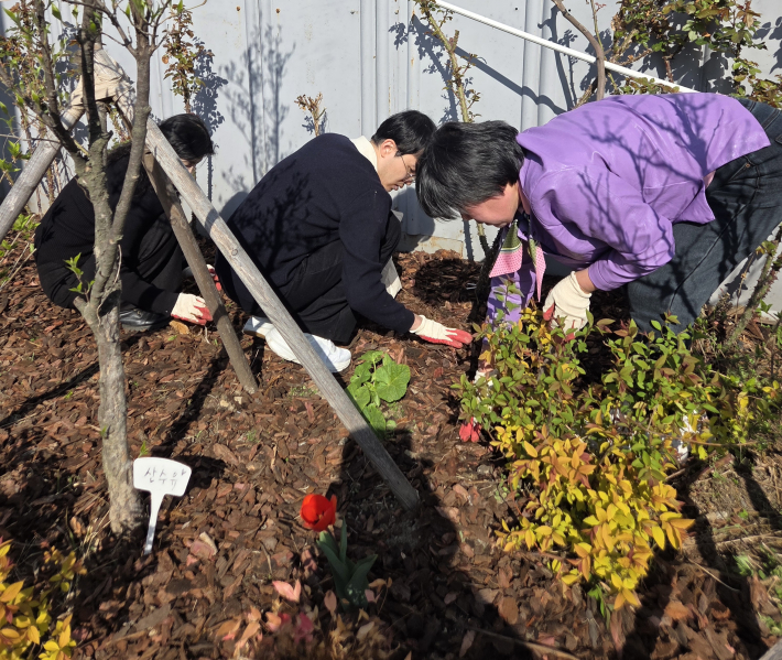 손바닥 정원을 정리하는 모습