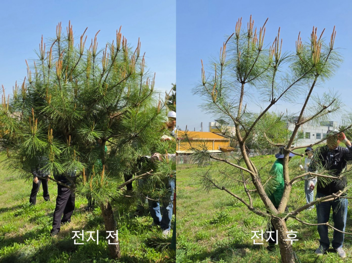 전지 전‧후 비교