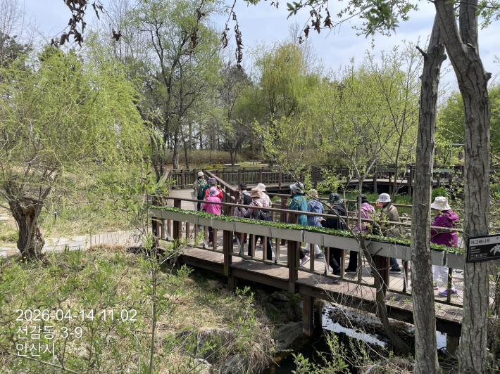 숲체험 프로그램 진행 사진
