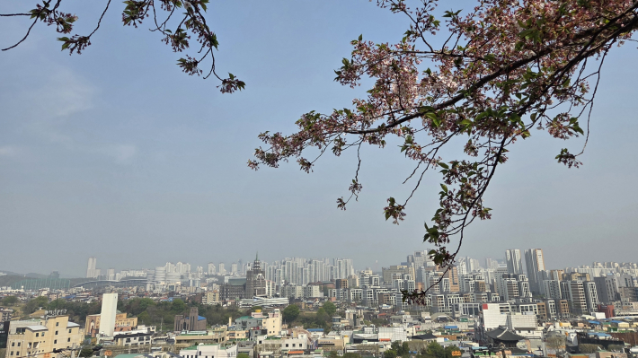 팔달산에서 바라본 시내 모습