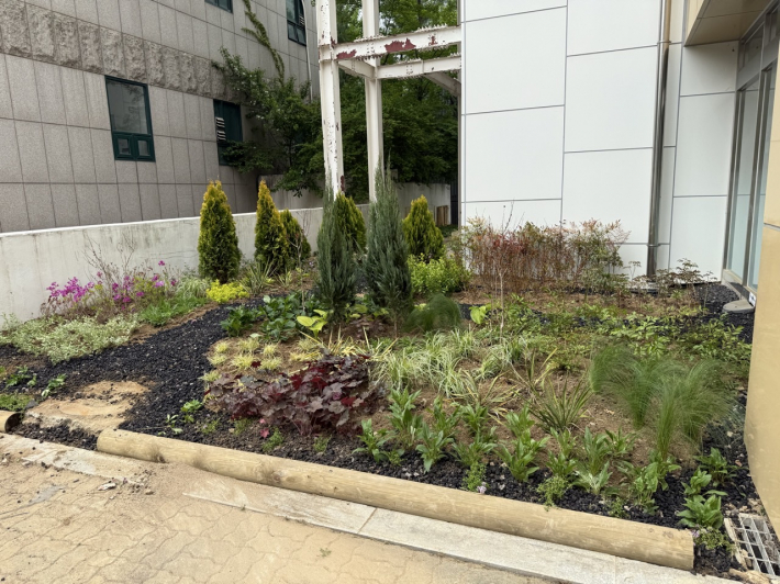 조성된 손바닥정원